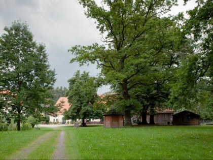 Фото: Gut Redingerhof